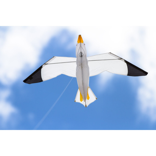 Seagull 3D